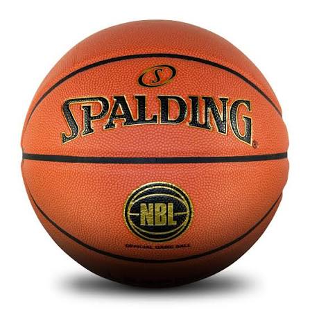 Championship Leather Basketball