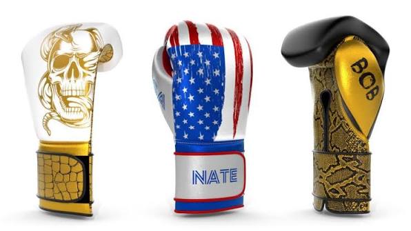 Pro Boxing Gloves