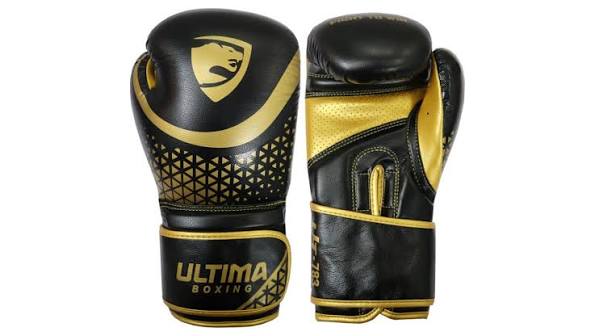 Onyx & Gold Predator Gloves